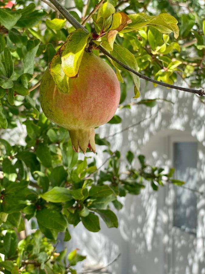 Maria Elena - Suite Home Mykonos Town Exterior foto